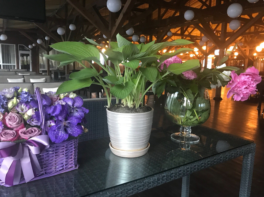 Lobster Beach Club-Podgortsy必去景点