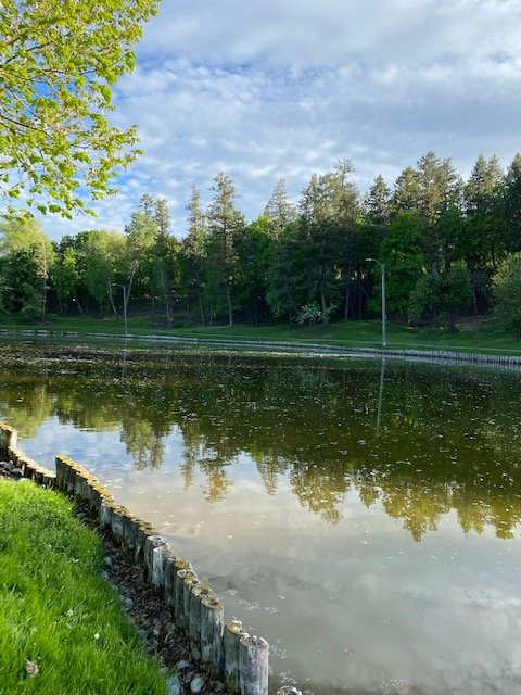 Woodland Water Park-卡利斯佩尔必去景点