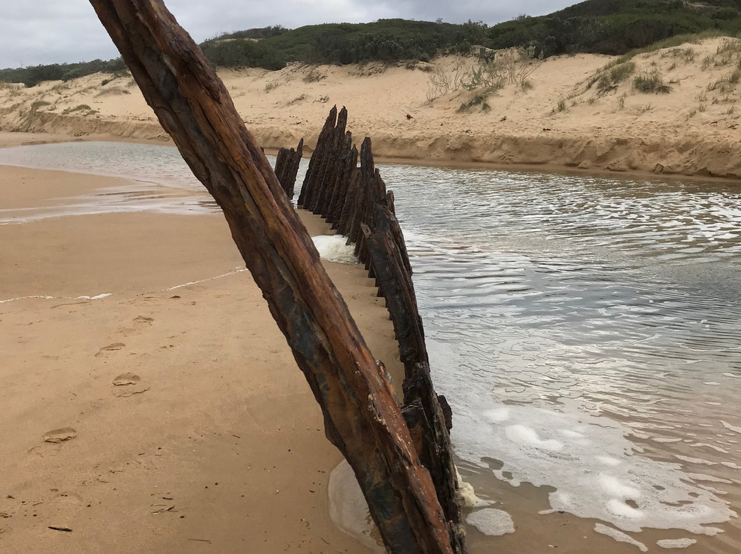 Trinculo Shipwreck-Golden Beach必去景点