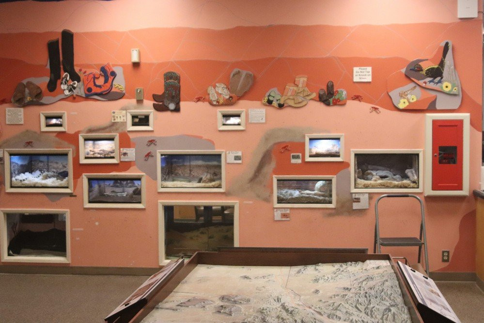 Hi-Desert Nature Museum景点图片
