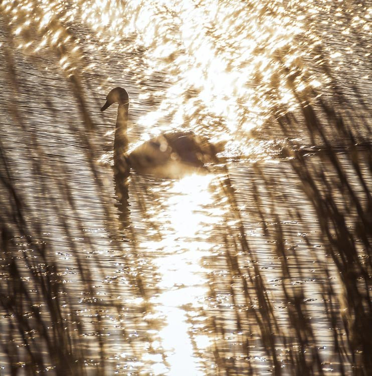 Waterworks-贝尔法斯特必去景点