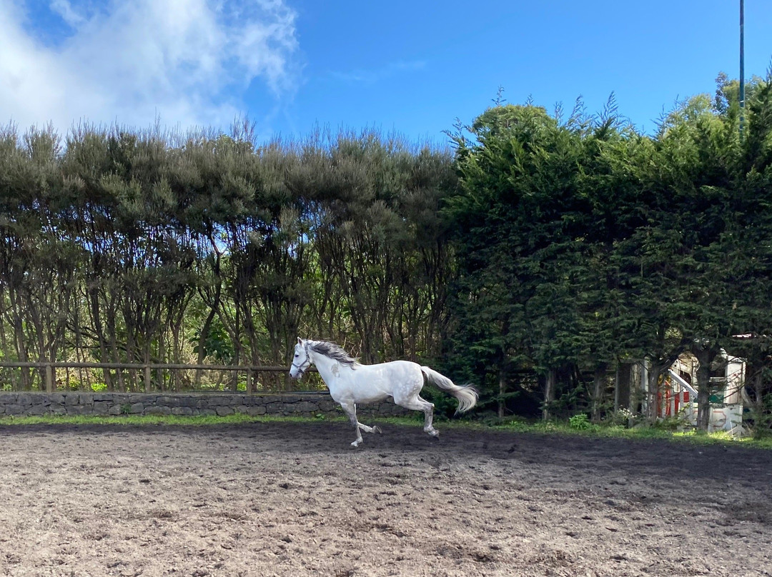 CEM - Clube Equestre da Madeira-Santa Cruz必去景点