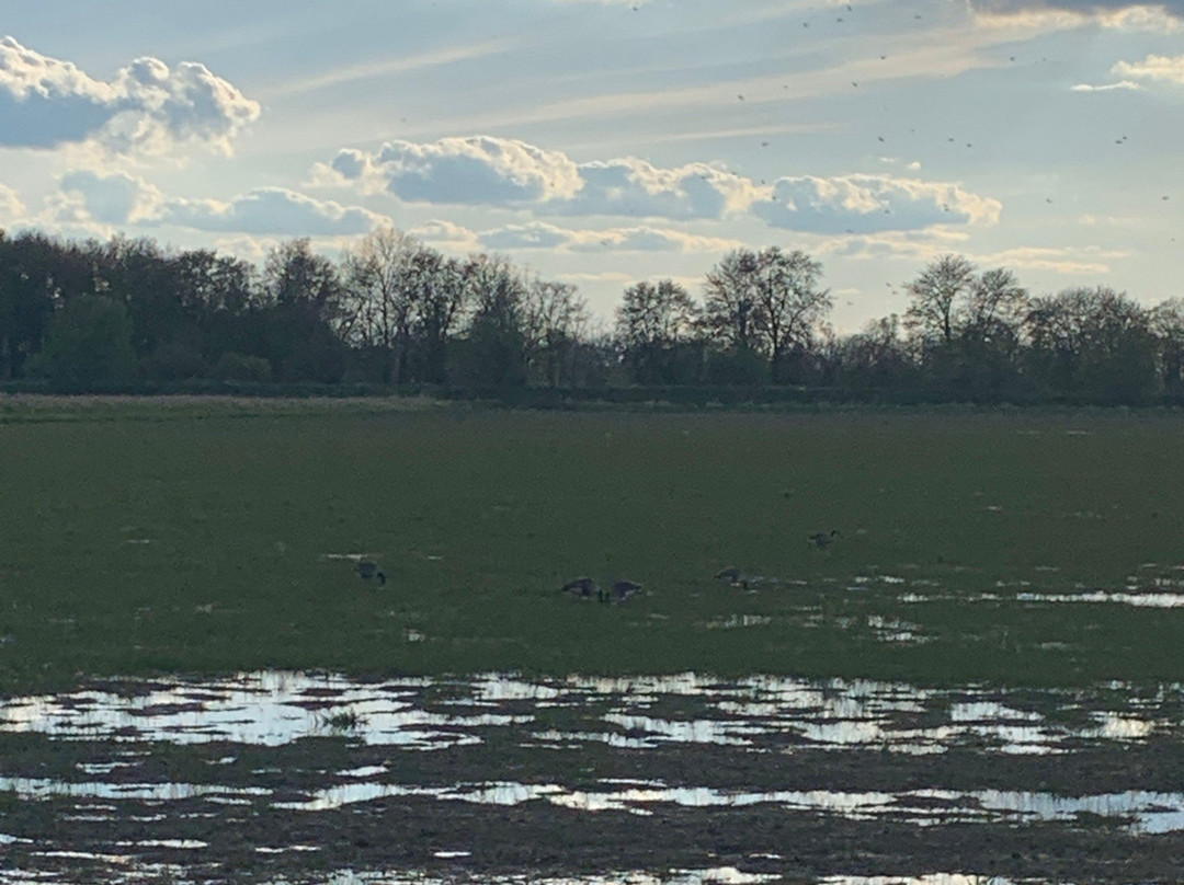 Shiawassee National Wildlife Refuge景点图片