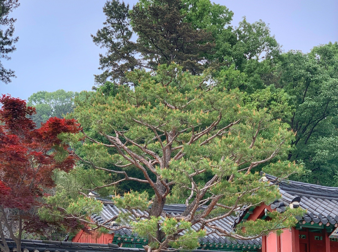 Seongnam Jungang Park-城南市必去景点
