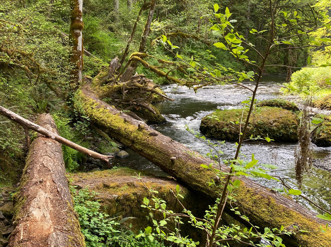 Abiqua Falls Trail-Scotts Mills必去景点