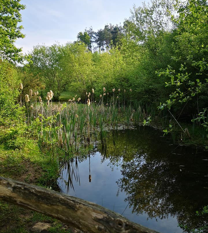 Esher Common-Esher必去景点