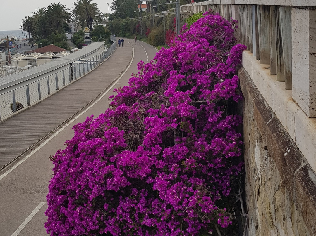 Corso dell'Imperatrice-圣雷莫必去景点