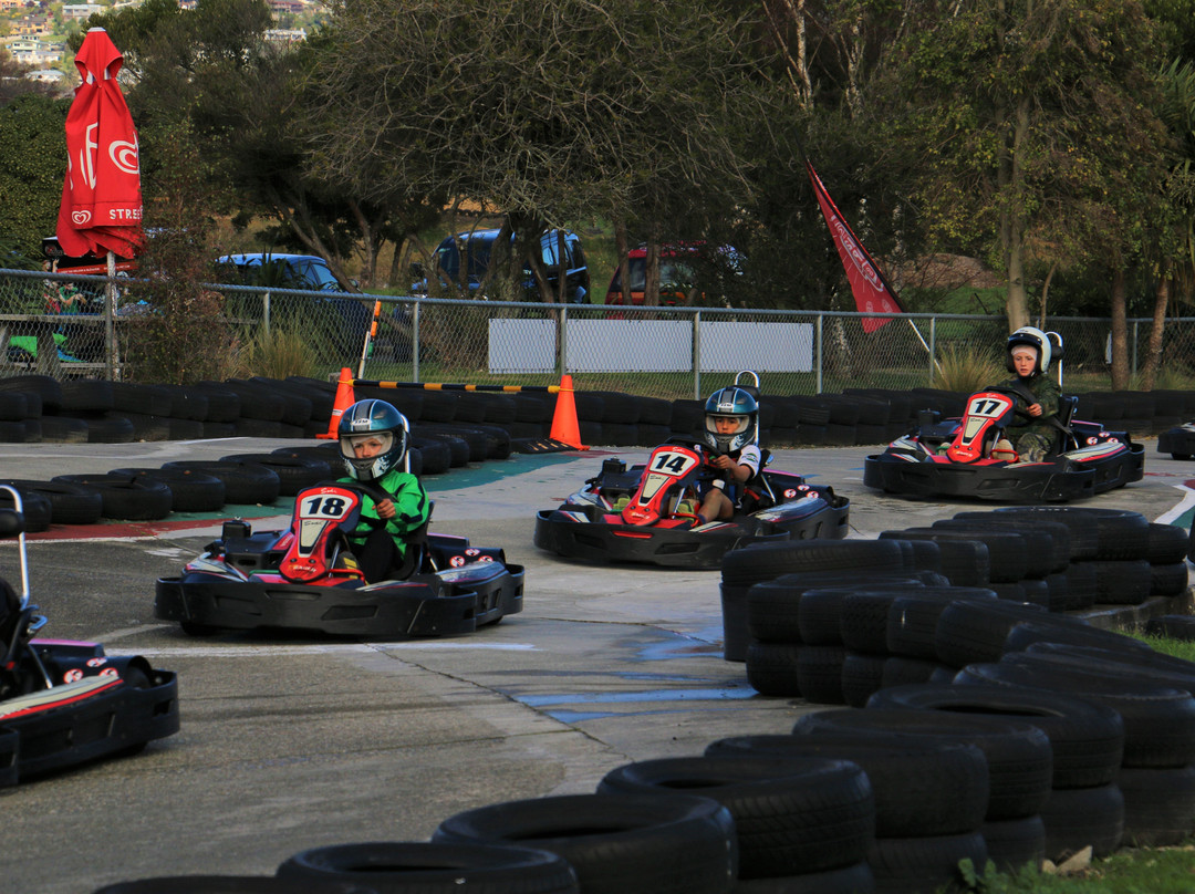 Pro Karts-尼尔森必去景点