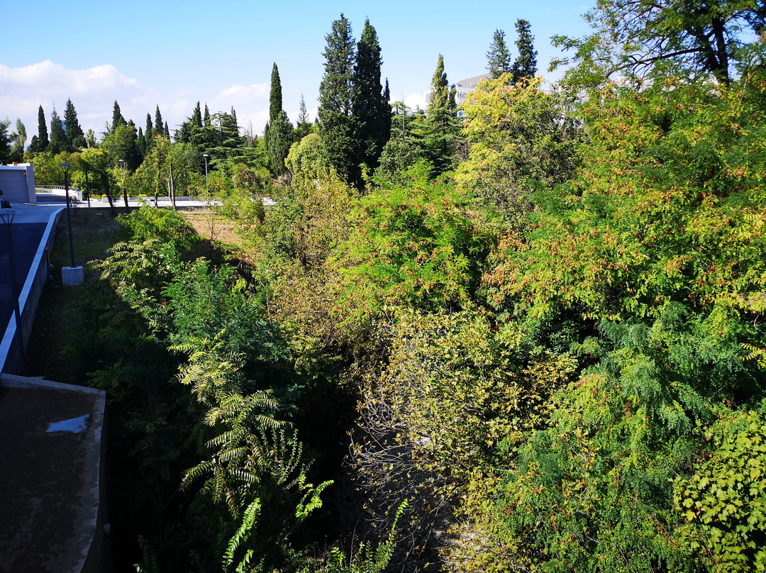 King's Park-波德戈里察必去景点