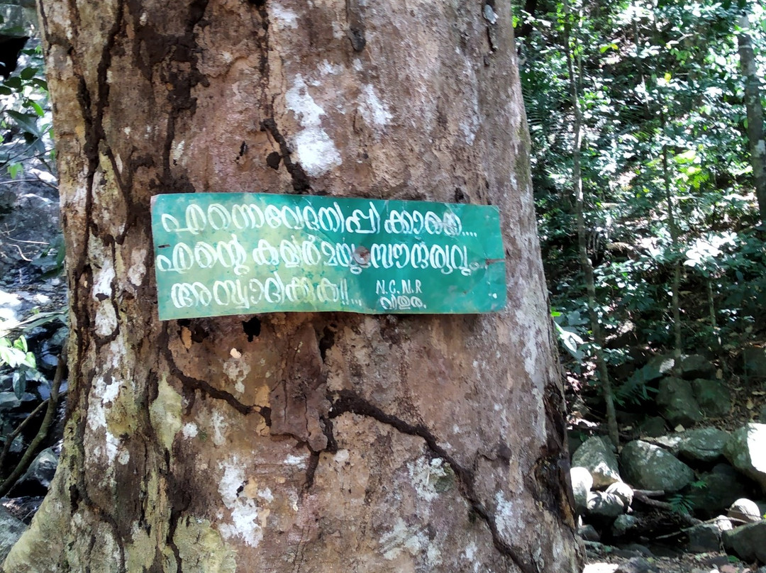 Agastya Mala-提卢湾安塔普兰（特里凡德伦）必去景点