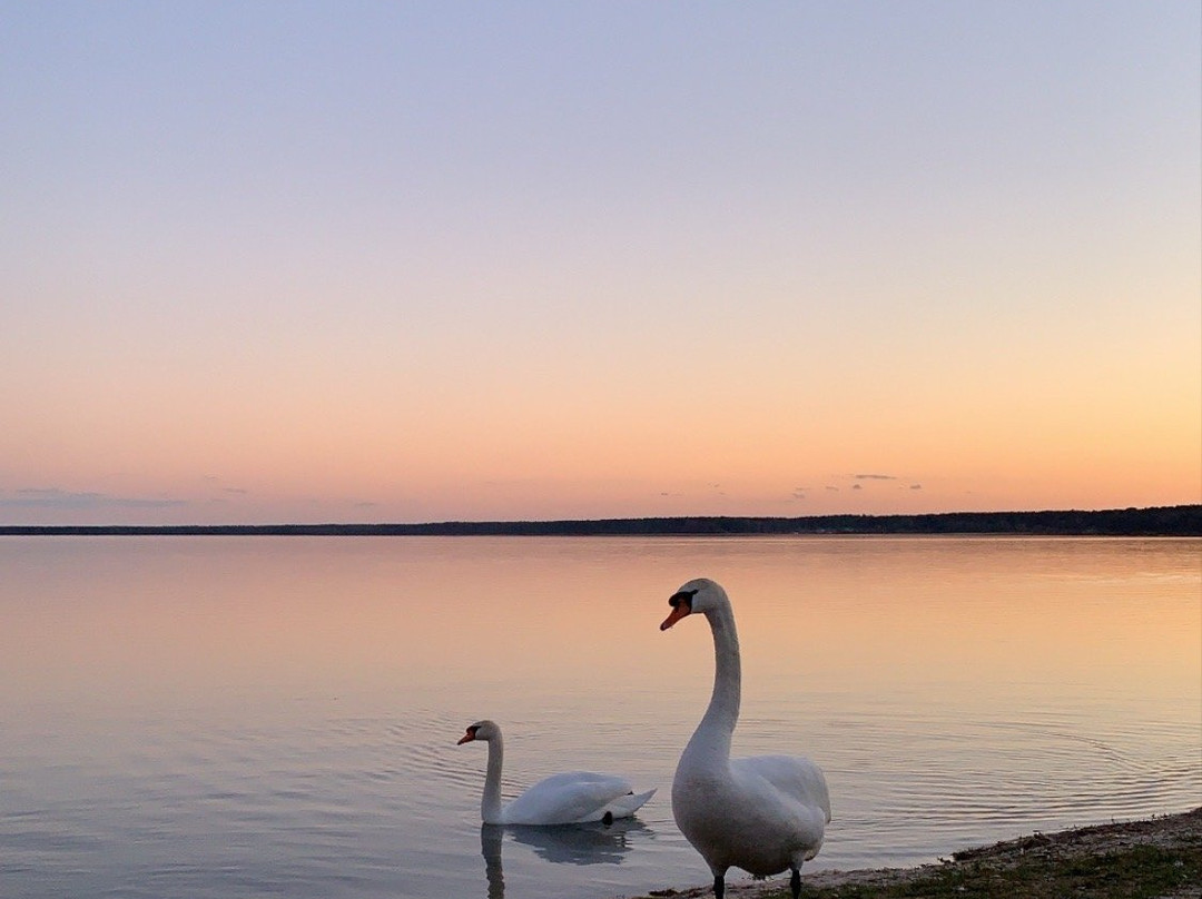 Lake Narach-Minsk Region必去景点