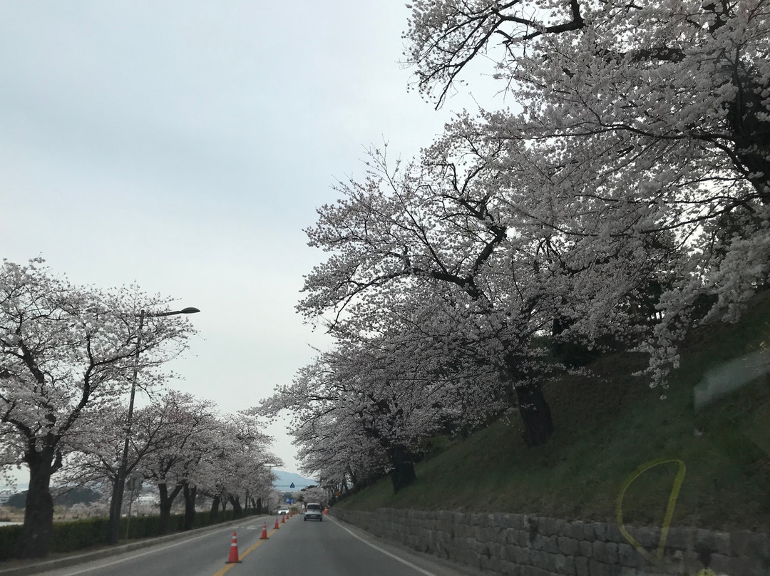 Gyeongpodae-江陵市必去景点