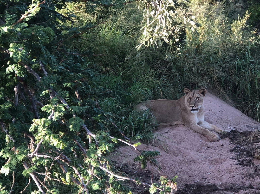 Klaserie Dam-Klaserie Private Game Reserve必去景点