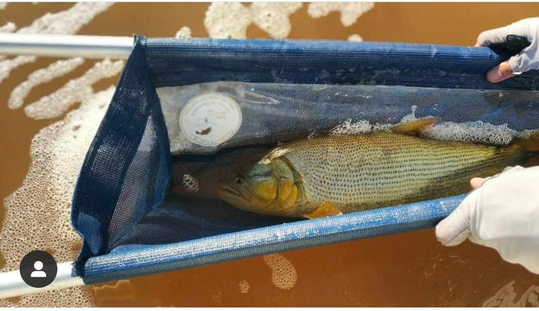 Best Dorado Fishing-Salto必去景点