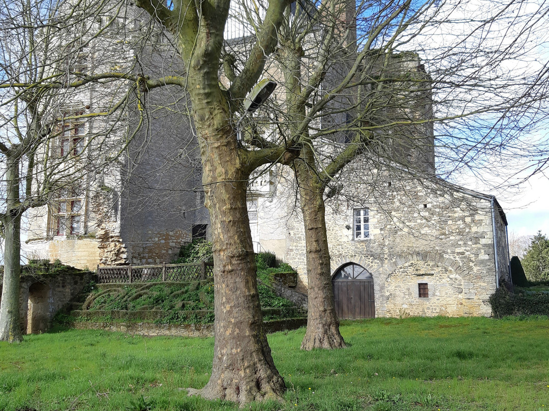 Chateau de Martigne Briand景点图片