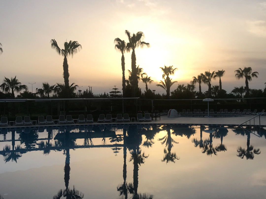 Amelia Beach Resort Hotel & Spa主图
