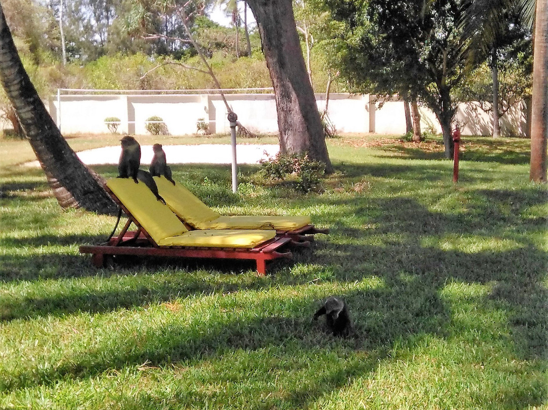 Neptune Paradise Beach Resort & Spa主图