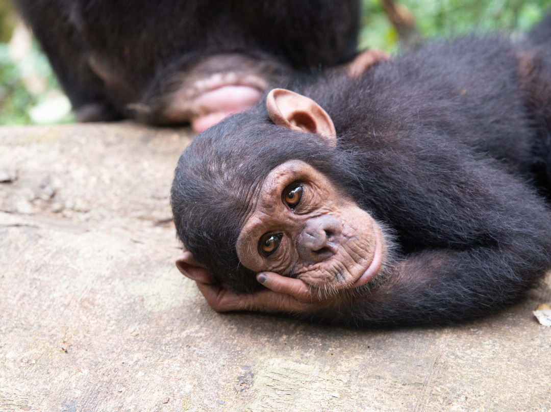Mouanko旅游攻略图片