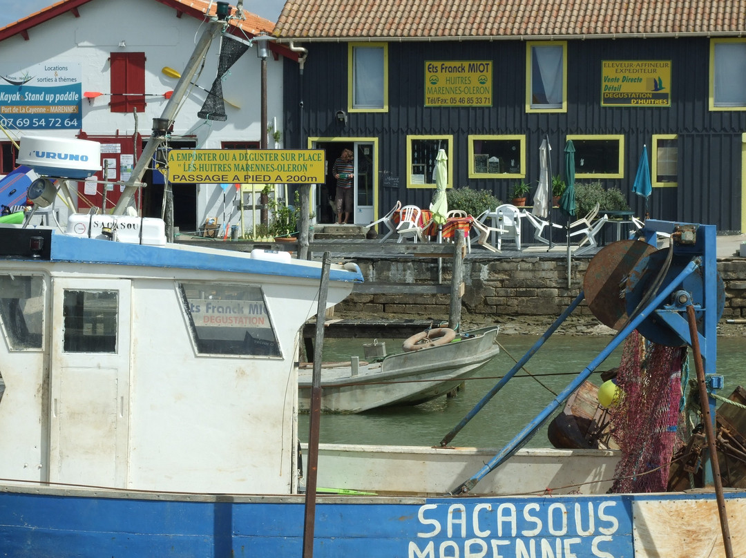 Huîtres Marennes Oléron-La Tremblade必去景点