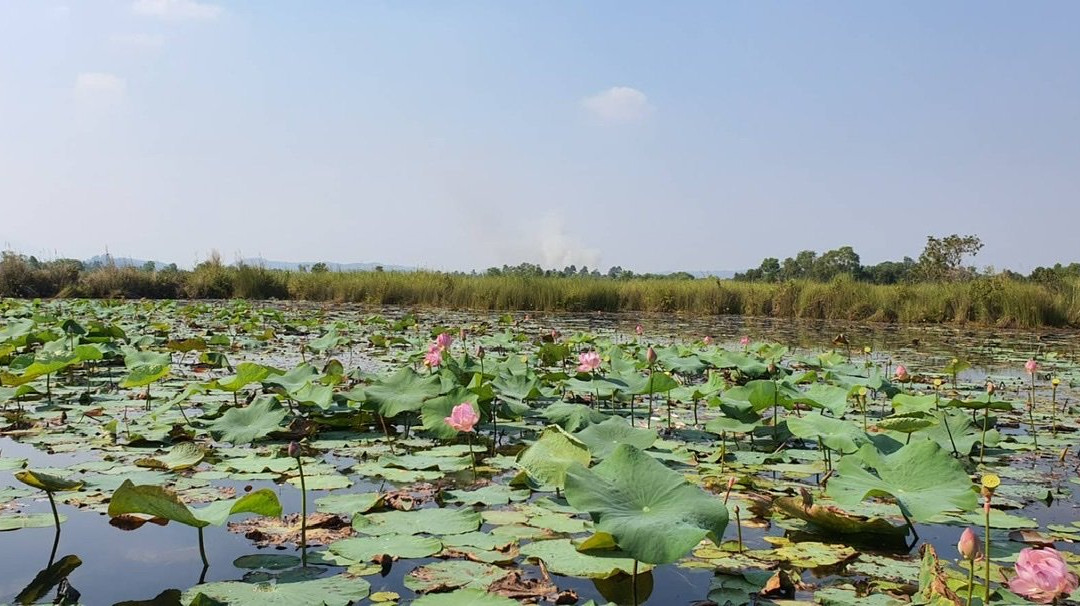 Rayong Botanical Garden-查蓬必去景点