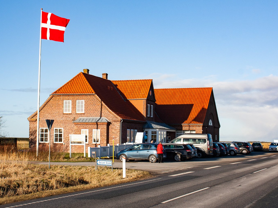Ballum Slusekro主图