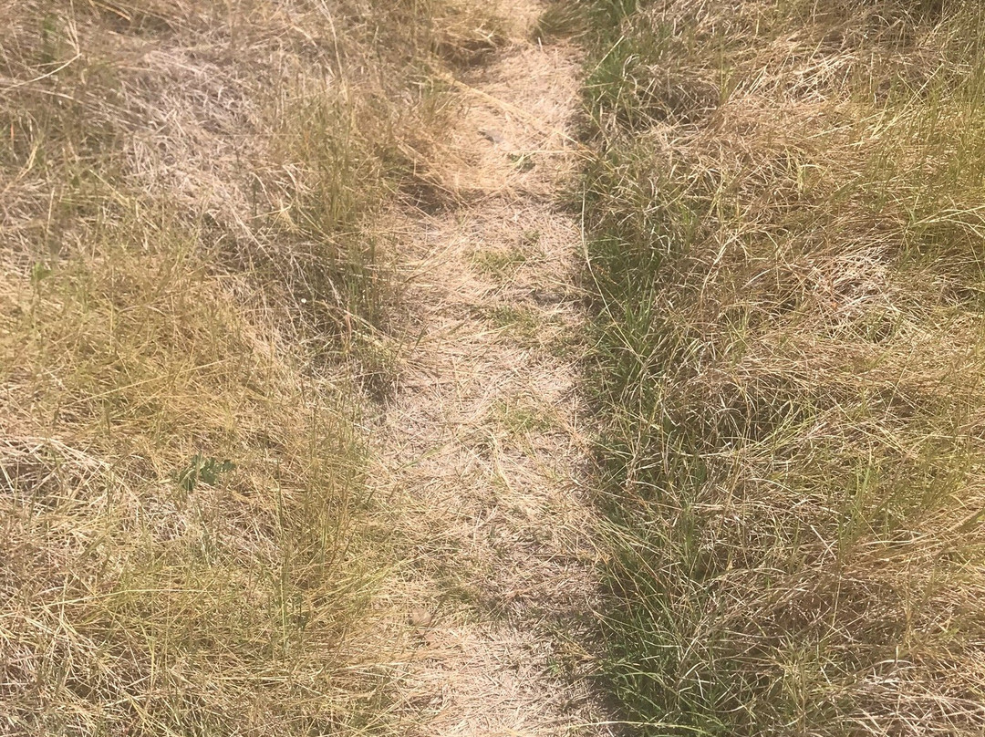 Rendezvous Nature Trail-蒙特塞拉特必去景点