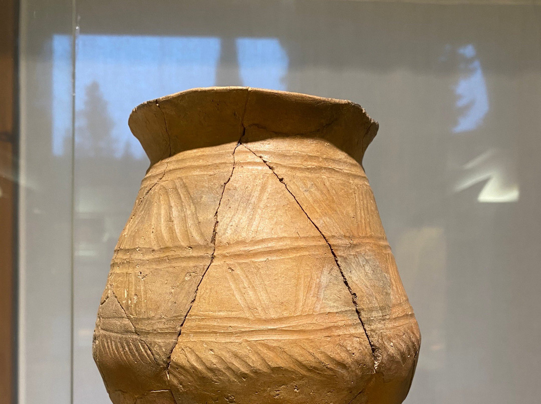 Museo de Huesca景点图片