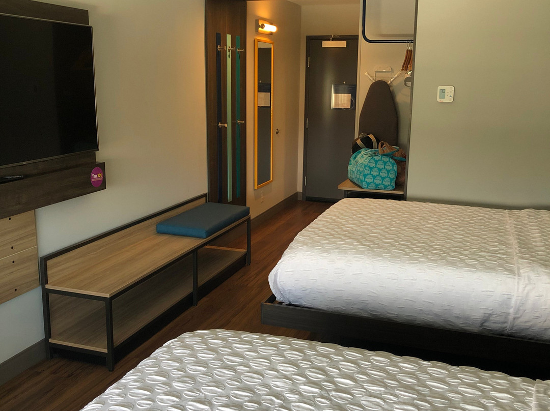 Tru by Hilton Knoxville North I 75主图