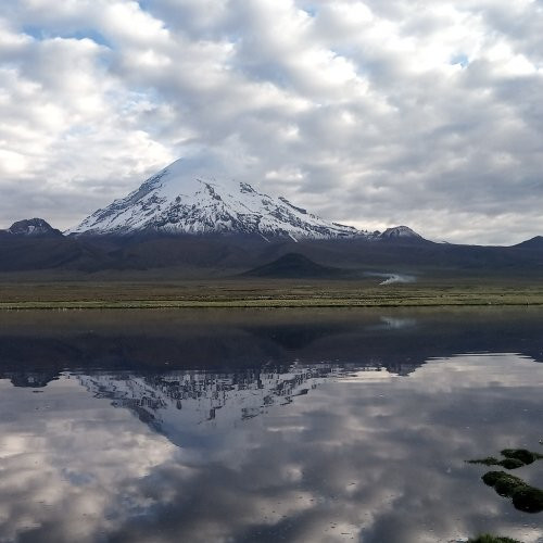 Sajama National Park景点图片