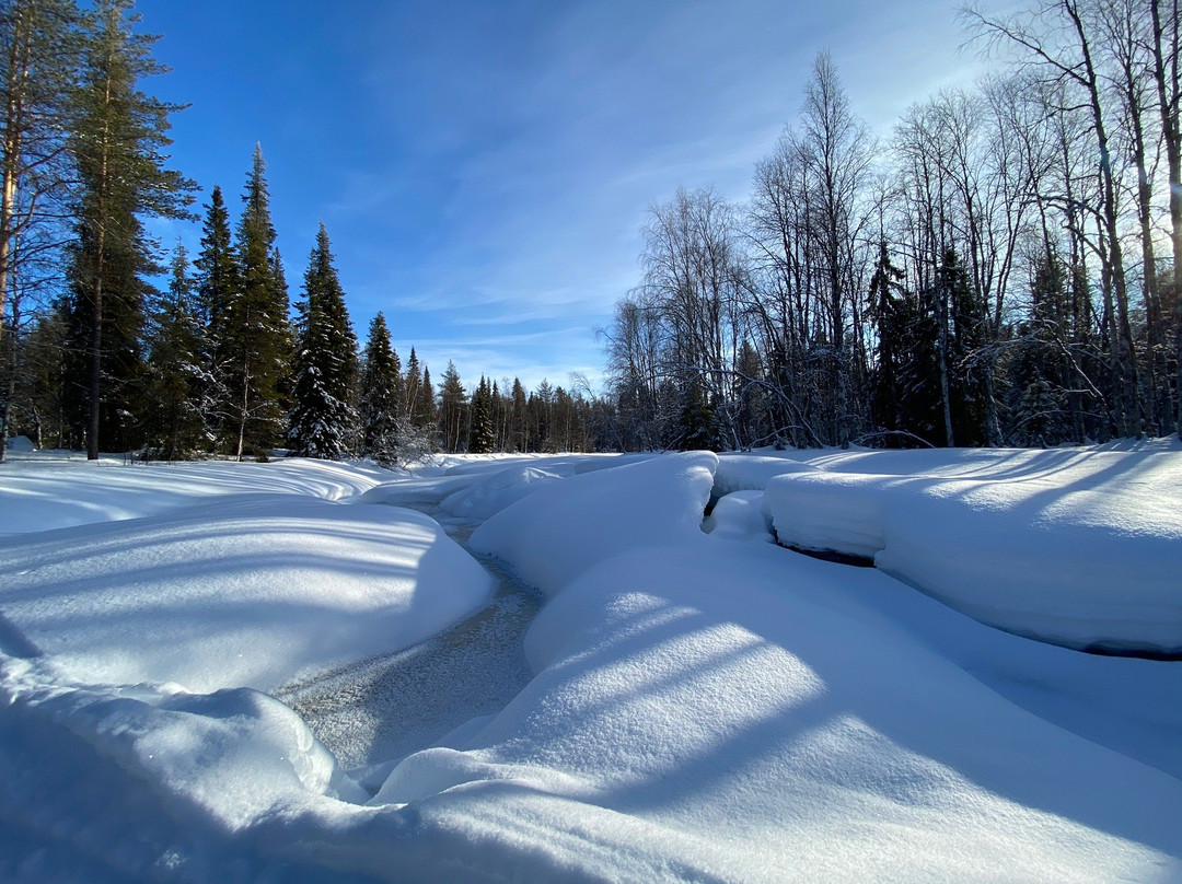 Lapland Safaris Luosto景点图片