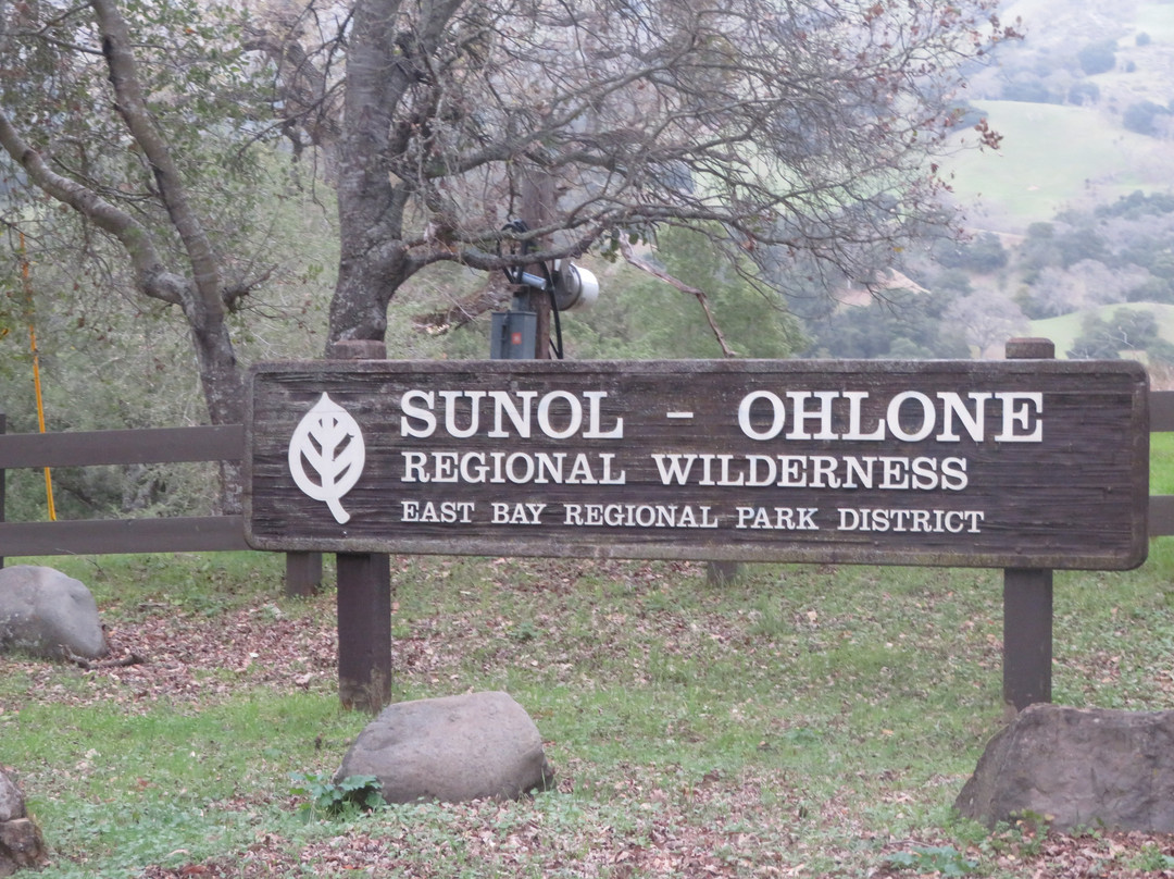 Sunol Regional Wilderness景点图片