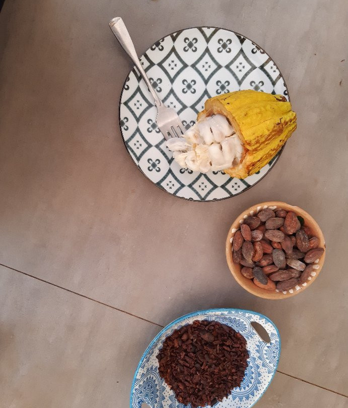 Talamanca Chocolate景点图片