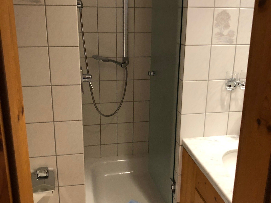 Hotel Gasthof Krone主图