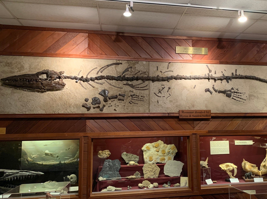 Brazosport Museum of Natural Science景点图片