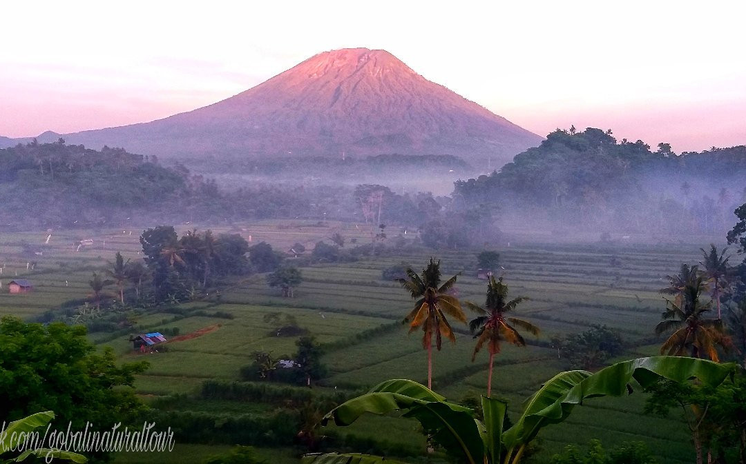 Go Bali Natural Tour-登巴萨必去景点