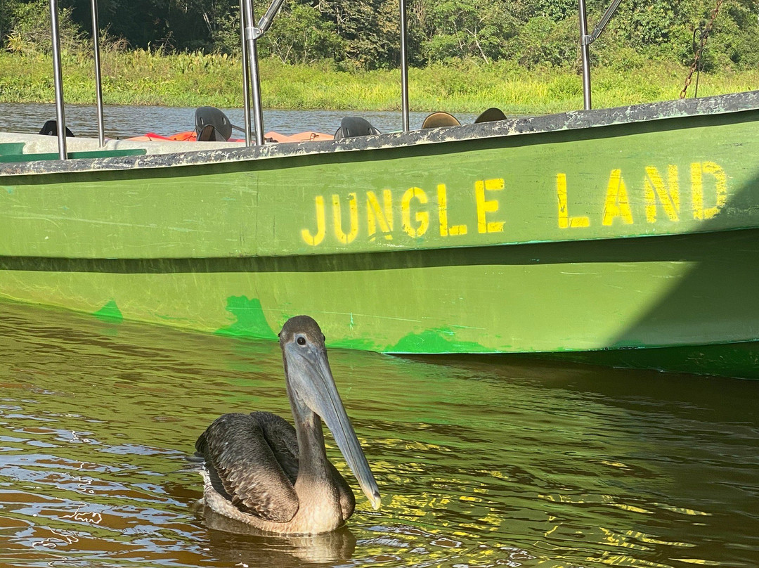 Jungle Land Panama景点图片