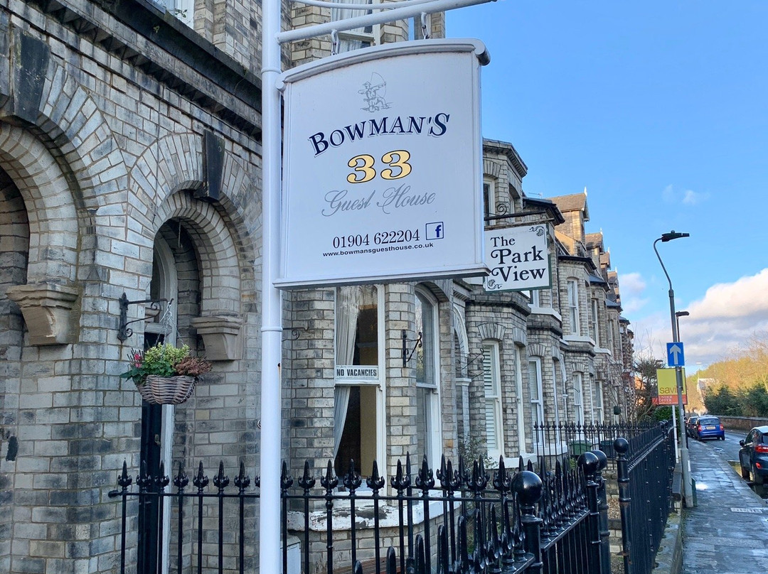 Bowman's主图