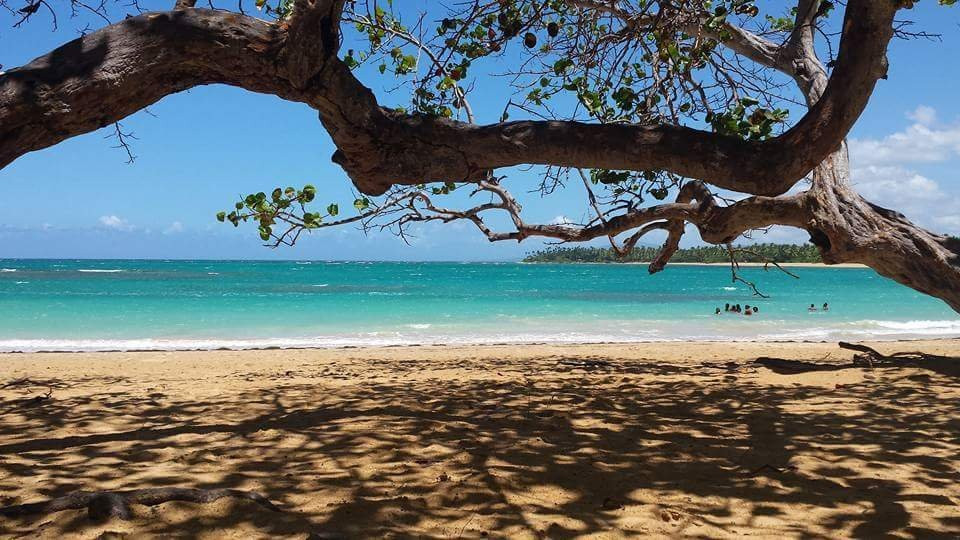 Playa Punta Popy-拉斯特拉纳斯必去景点