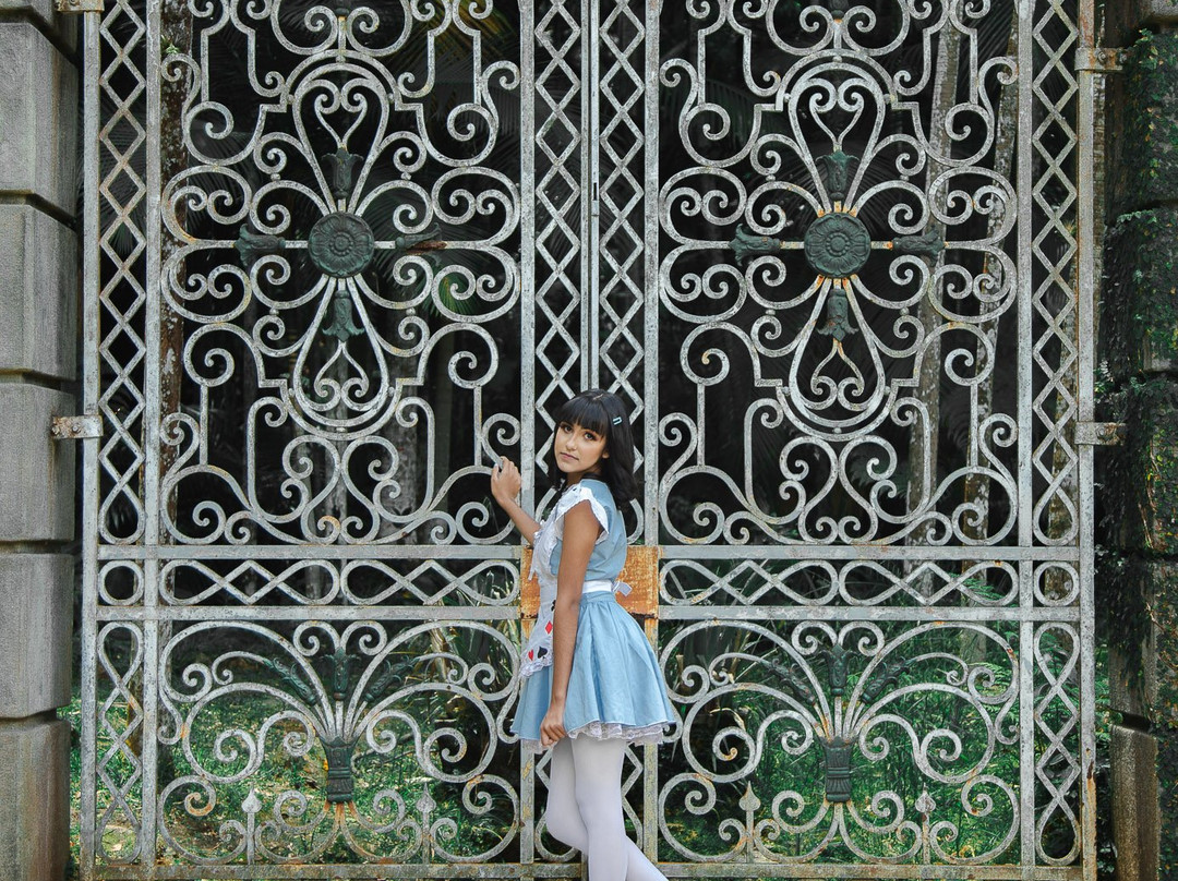 Jardim Botânico de São Paulo-圣保罗必去景点