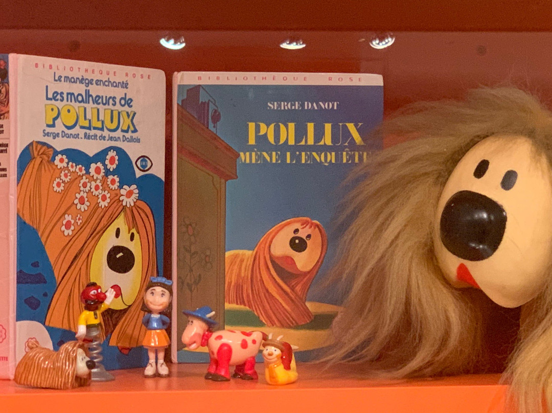 Toy Museum-普瓦西必去景点