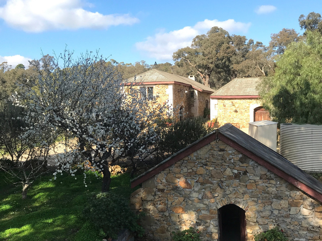 Panton Hill Vineyard & Winery-Panton Hill必去景点