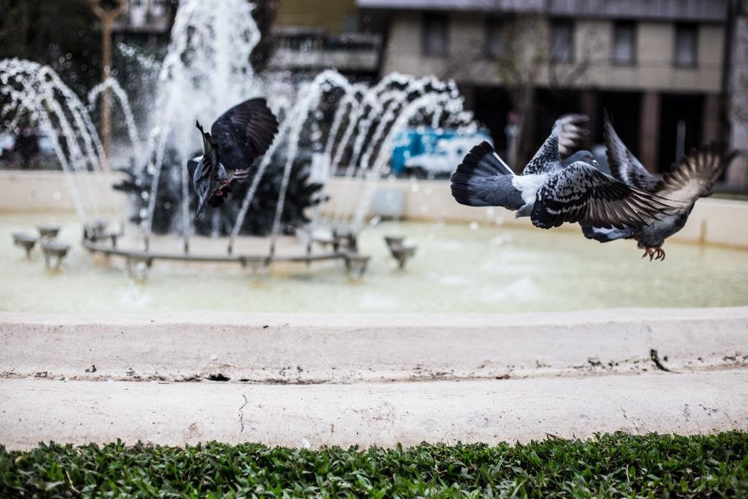 Buenos Aires Urban Walks-布宜诺斯艾利斯必去景点