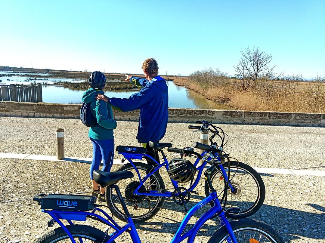 Happy Tour Camargue-艾格莫尔特必去景点