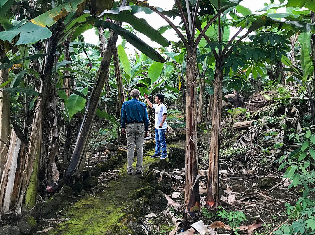 Twin Lodge Galapagos主图