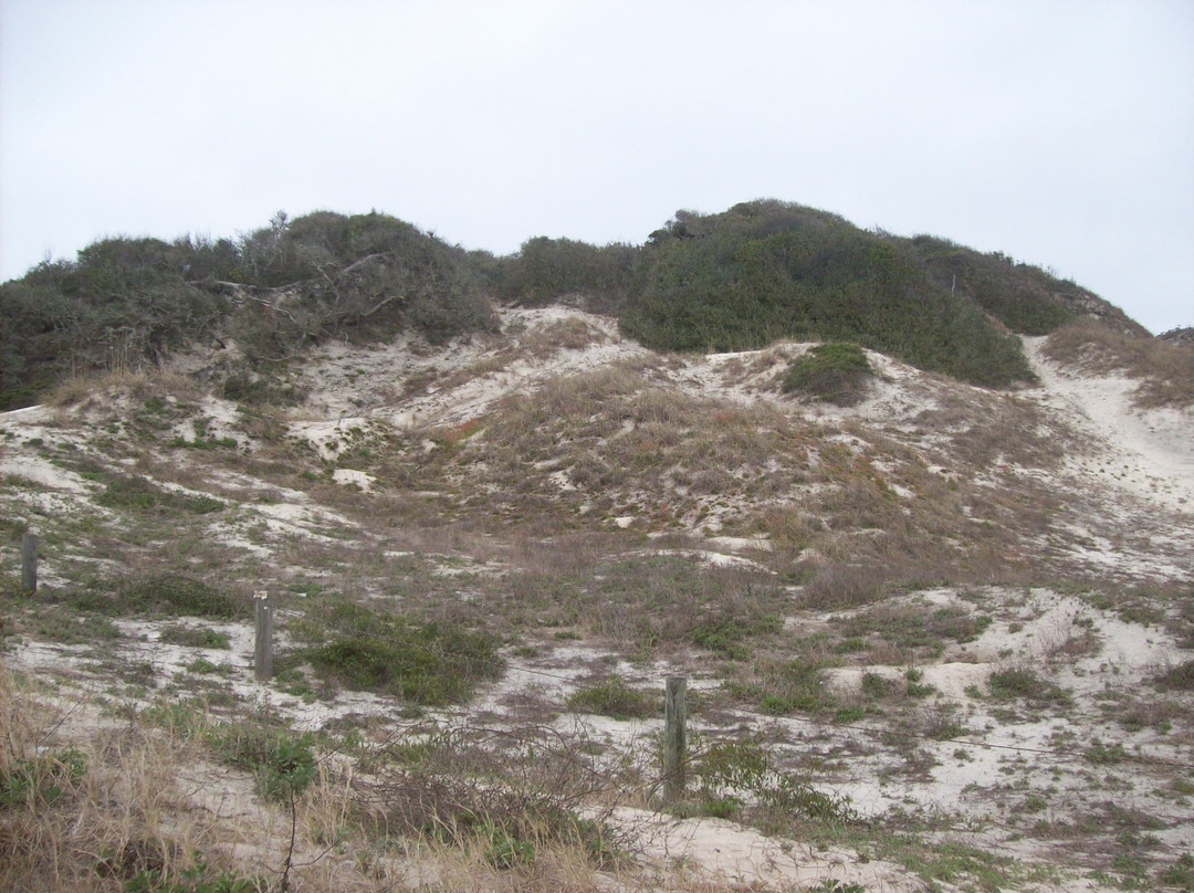 Burney Park-费尔南迪纳岛必去景点