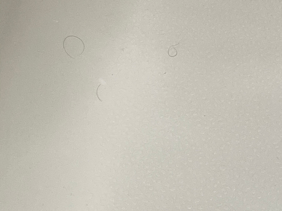 Hampton Inn & Suites By Hilton Stroudsburg Pocono Mountains主图