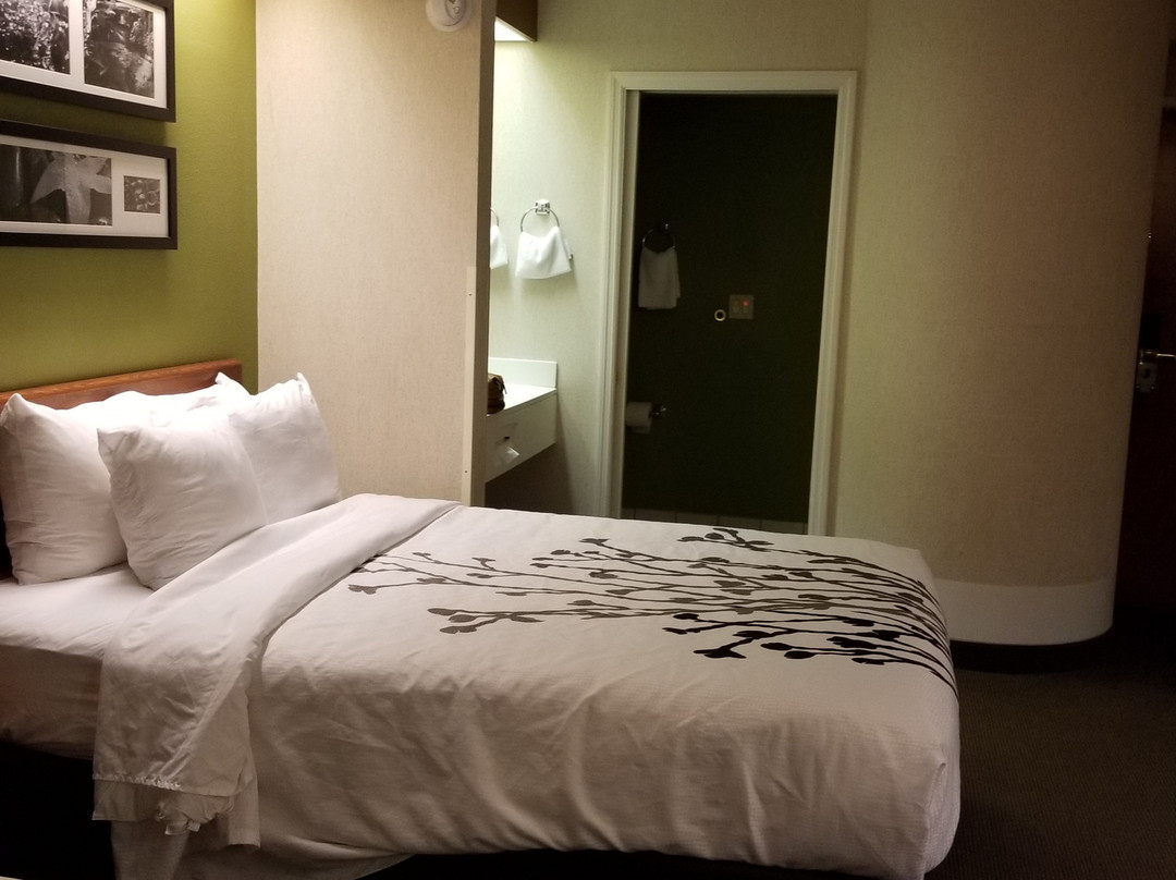 Sleep Inn Murfreesboro主图