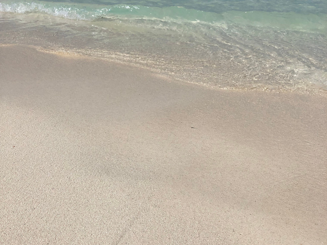 Hostal Colonial Alelusa主图