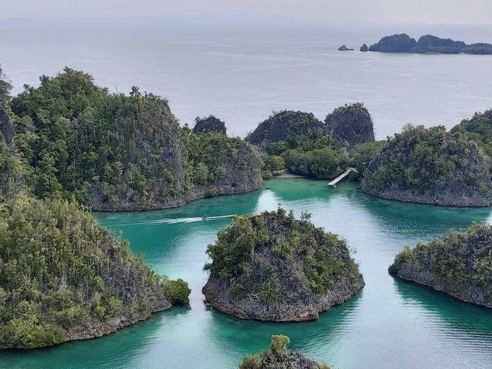 Pianemo Islands-四王岛必去景点