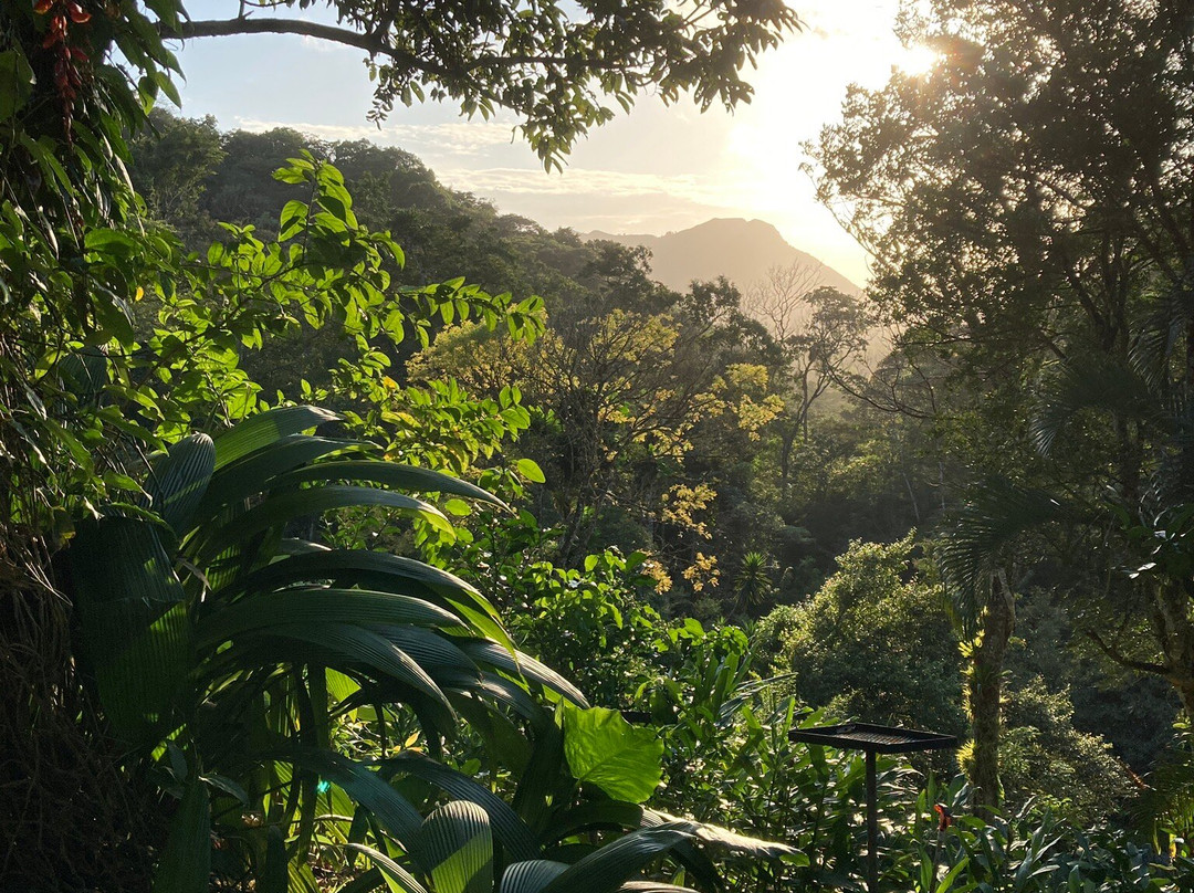 El Valle de Anton la Chachalaca
